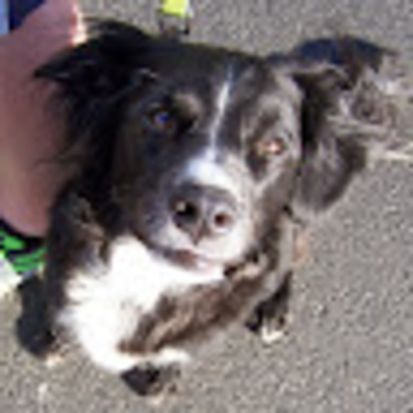 Meet your Posher, Adrienne - Picture 1 of 1